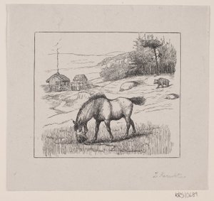 Nordbakke von Alexander Blom