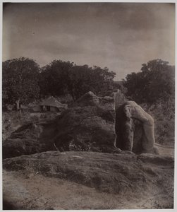 Skulpturierter Elefant auf einem Felsen mit Asoka-Inschriften, Dhauli, Puri-Distrikt