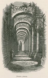 Fountains Abbey, Nordschiff von Alexander Francis Lydon