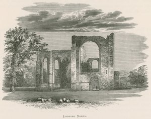 Furness Abtei, Blick nach Norden von Alexander Francis Lydon