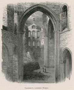 Kirkstall Abbey, Querschiff, Blick nach Norden von Alexander Francis Lydon