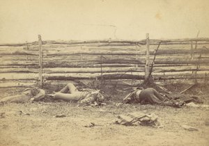 Ansicht im Feld, auf der Westseite der Hagerstown Road, nach der Schlacht von Antietam, 1862