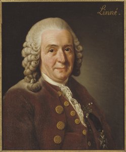Carl Linnaeus (1707–1778), Professor und Botaniker, 1775 von Alexander Roslin