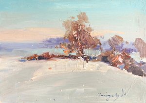 Winterlandschaftsglanz von Alexander Shandor