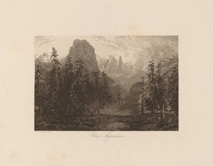 Eine Sapinière von Alexandre Calame