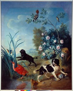 Zerbine und Jemite, die Hunde von König Ludwig XIV., Gemälde von Francois Desportes von Alexandre Francois Desportes
