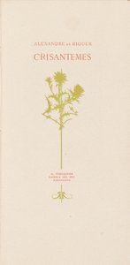 Chrysanthemen