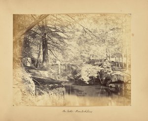 Die Wasserfälle - Hemlocktannen