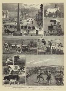 Eine südafrikanische Landwirtschaftsausstellung, Port Elizabeth, Kapkolonie