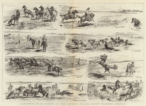Einfangen von Wildpferden auf den Laramie-Ebenen, Nordwestamerika