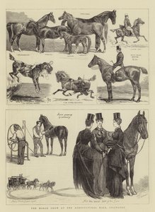 Die Pferdeschau in der Landwirtschaftshalle, Islington