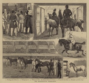 Die Metropolitan-Pferdeshow von Alfred Chantrey Corbould