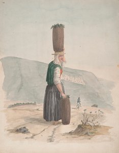 Holzkohlenverkäufer, Teneriffa