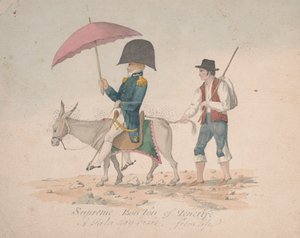 Höchster Bon Ton von Teneriffa von Alfred Diston