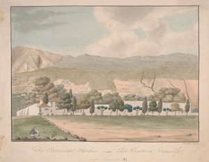Der Botanische Garten bei Port Orotava, Teneriffa von Alfred Diston