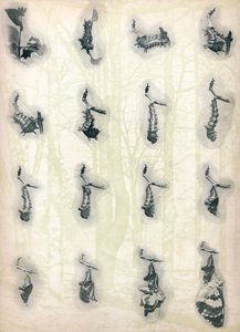 Die Entwicklung einer Raupe, um 1910, 1911