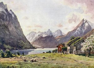 Hjorundfjord, Oie