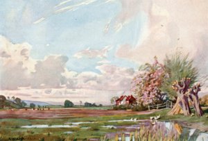 Die Insel Athelney (Farblithografie)