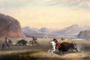 Büffeljagd, nahe Independence Rock von Alfred Jacob Miller