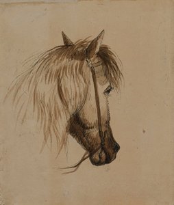 Kopf eines Pferdes von Alfred Jacob Miller