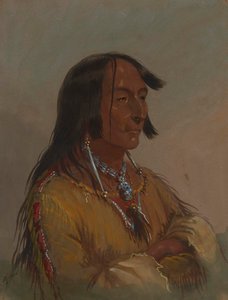 Shim-a-co-che, Krähenhäuptling von Alfred Jacob Miller