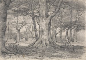 Waldlandschaft in der Nähe von Boldrewood von Alfred Parsons