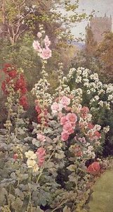 Der Garten