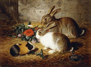 Entkommen: Zwei Kaninchen und ein Meerschweinchen von Alfred R. Barber