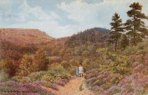 Hindhead von Alfred Robert Quinton