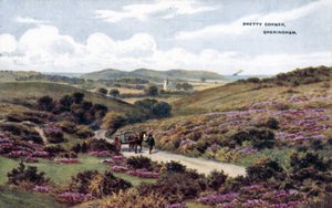 Pretty Corner, Sheringham, Norfolk von Alfred Robert Quinton