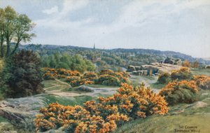 The Common, Tunbridge Wells von Alfred Robert Quinton