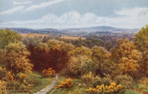 Das glückliche Tal, Tunbridge Wells