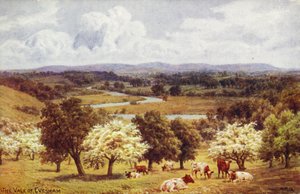 Das Tal von Evesham