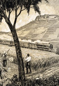Deutsche Eisenbahnen - Zug in der Landschaft in Freyburg