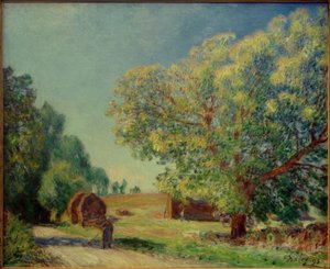 Rund um den Wald