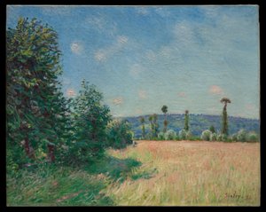 Die Wiesen von Sahurs in der Morgensonne von Alfred Sisley