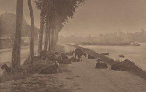 Eine dekorative Tafel von Alfred Stieglitz
