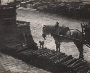 Ein Schnappschuss, Paris