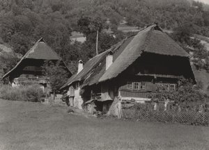 Schwarzwaldhaus von Alfred Stieglitz