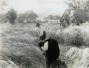 Früher Morgen von Alfred Stieglitz