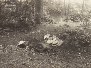 Emmy Obermeyer, Tea Island, Lake George von Alfred Stieglitz