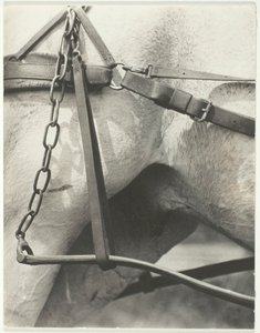 Equivalent, Spiritual America, 1923 von Alfred Stieglitz