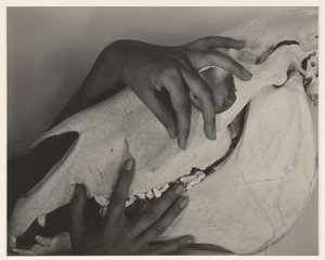  von Alfred Stieglitz