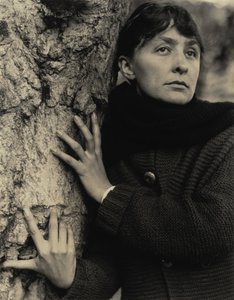  von Alfred Stieglitz