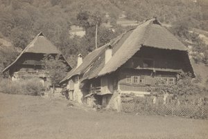 Gutach Häuser
