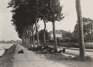 Heimwärts von Alfred Stieglitz