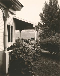 Haus und Weinblätter von Alfred Stieglitz