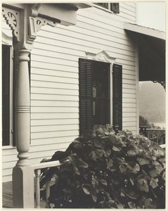 Haus und Weinblätter, 1934 von Alfred Stieglitz
