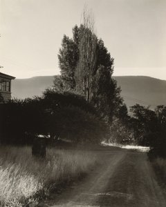 Haus und Pappeln, Lake George von Alfred Stieglitz