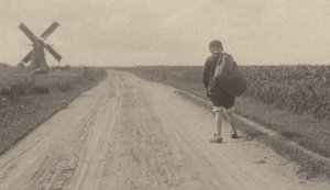 In den Niederungen von Alfred Stieglitz